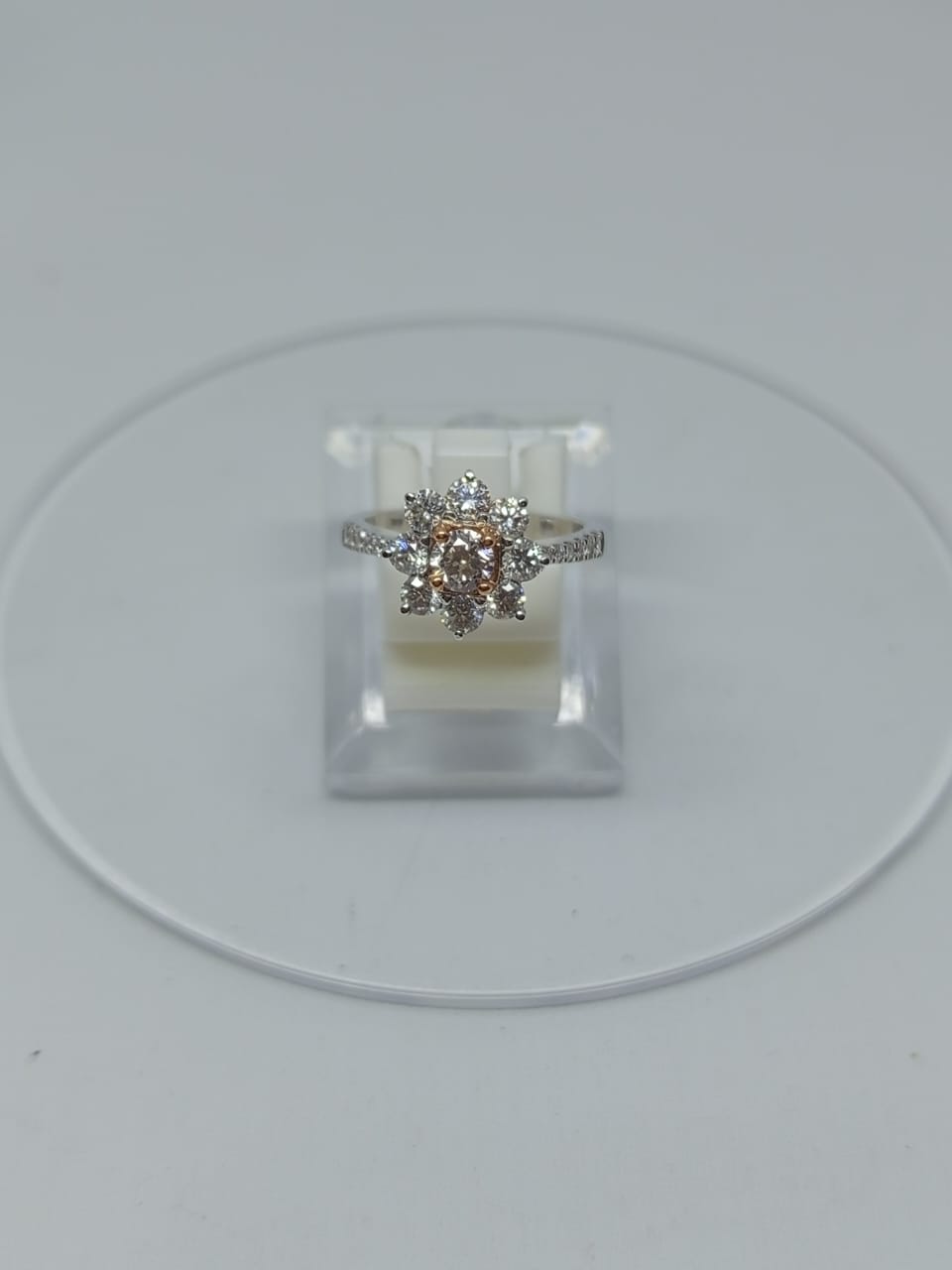 Fancy Very Light Pink - Image 5