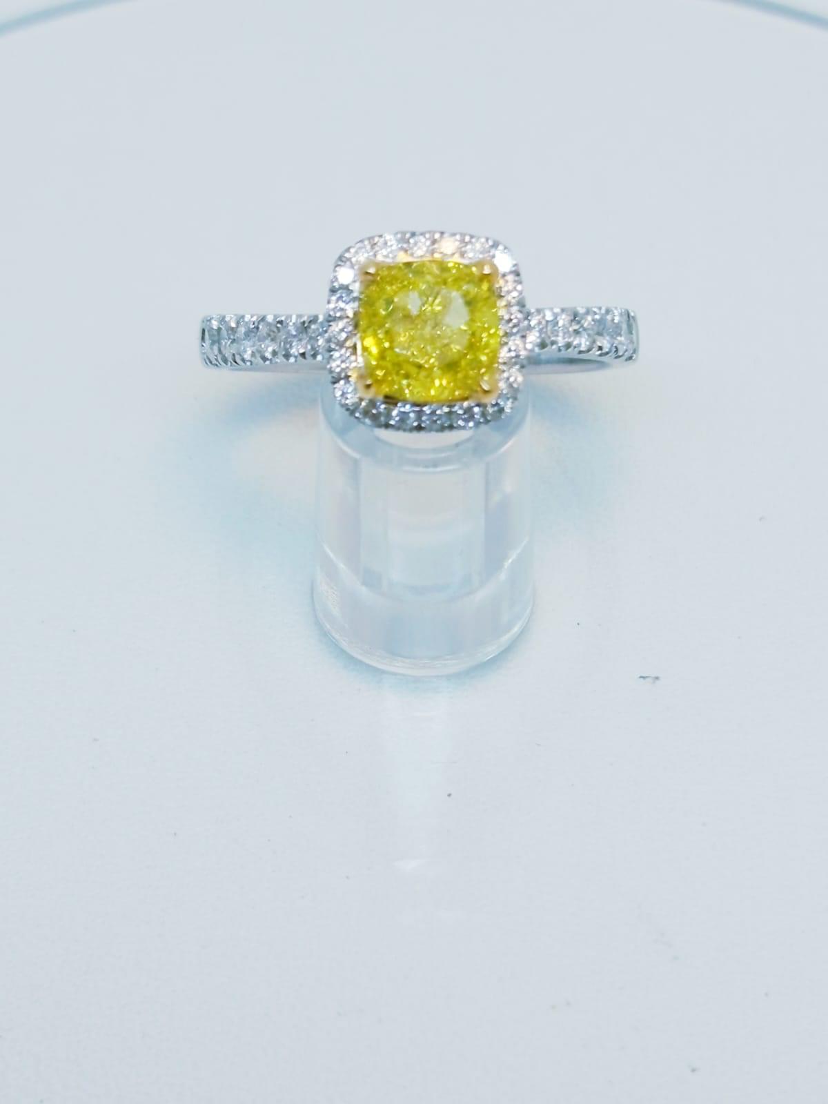 Fancy Vivid Yellow - Image 2